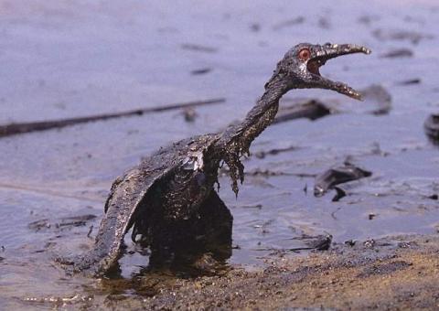 Vazamentos de óleo no Rio Negro deixam governo brasileiro em alerta